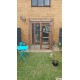Catio / Cat Lean to 6FT X 4FT X 9FT Tall With Mesh Roof